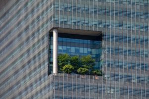 Green Offices: Save Money, Attract Talent and Reduce Carbon Emissions